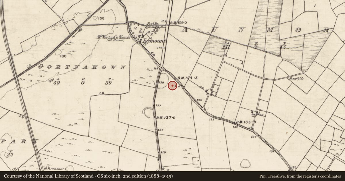Ordnance Survey six-inch map, 2nd edition (1888–1915) covering the location of Burial ground, Boyhill, Farranablake East, County Galway, with a pin at the register's coordinates