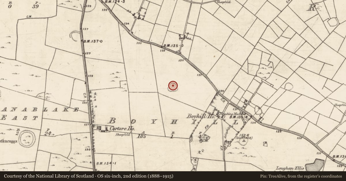 Ordnance Survey six-inch map, 2nd edition (1888–1915) covering the location of Ringfort - rath, Boyhill, County Galway, with a pin at the register's coordinates