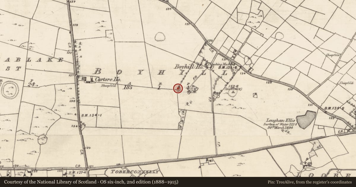 Ordnance Survey six-inch map, 2nd edition (1888–1915) covering the location of Ringfort - rath, Boyhill, County Galway, with a pin at the register's coordinates