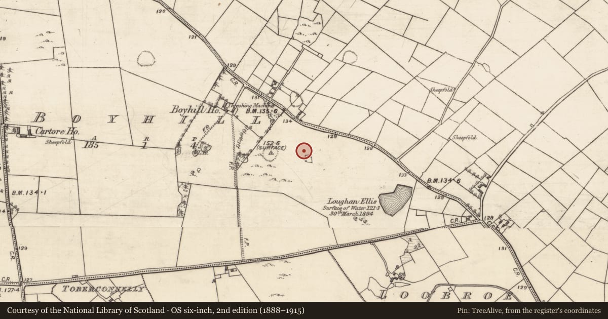 Ordnance Survey six-inch map, 2nd edition (1888–1915) covering the location of Ringfort - rath, Boyhill, County Galway, with a pin at the register's coordinates