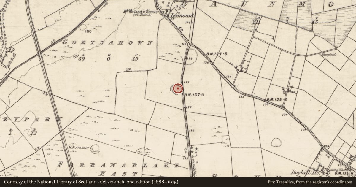 Ordnance Survey six-inch map, 2nd edition (1888–1915) covering the location of Ringfort - rath, Boyhill, Farranablake East, County Galway, with a pin at the register's coordinates