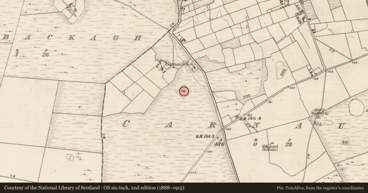 Ordnance Survey six-inch map, 2nd edition (1888–1915) covering the location of Moated site, Carnaun, County Galway, with a pin at the register's coordinates