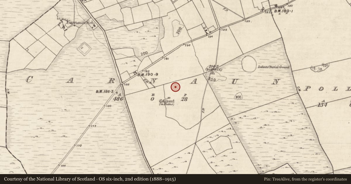 Ordnance Survey six-inch map, 2nd edition (1888–1915) covering the location of Road - road/trackway, Carnaun, County Galway, with a pin at the register's coordinates