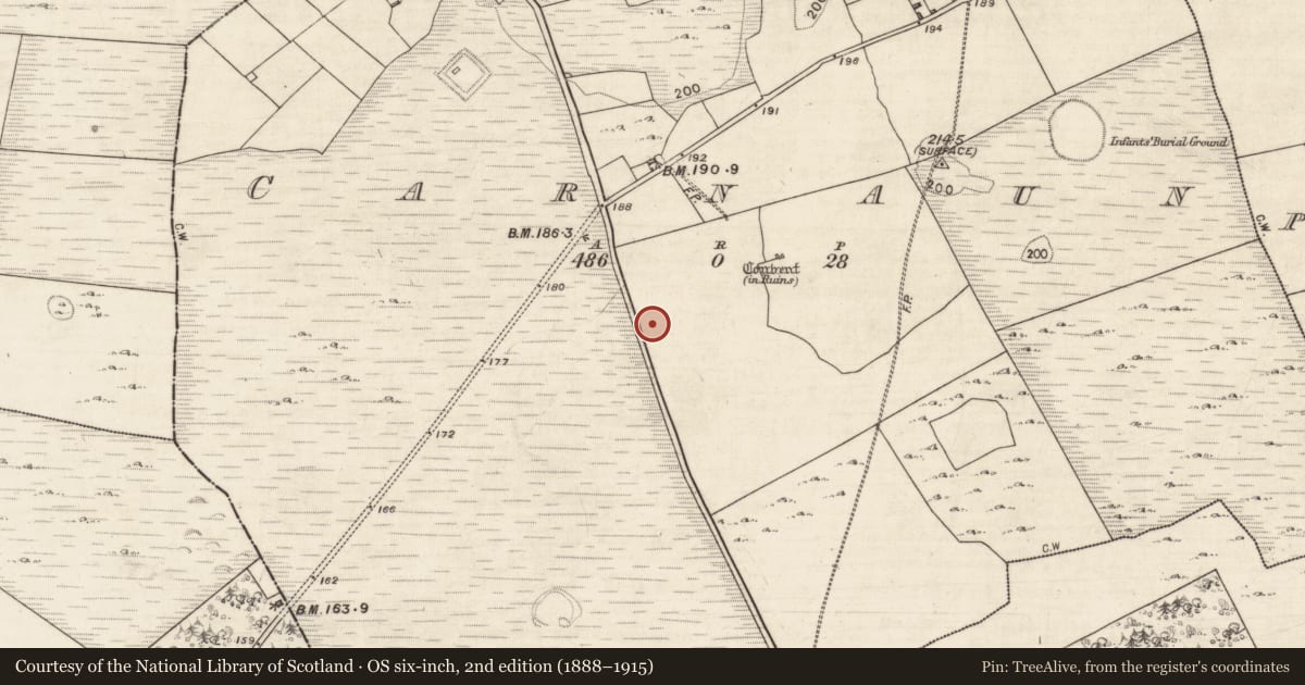 Ordnance Survey six-inch map, 2nd edition (1888–1915) covering the location of Well, Carnaun, County Galway, with a pin at the register's coordinates