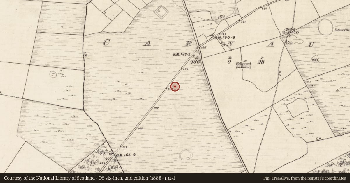 Ordnance Survey six-inch map, 2nd edition (1888–1915) covering the location of Enclosure, Carnaun, County Galway, with a pin at the register's coordinates