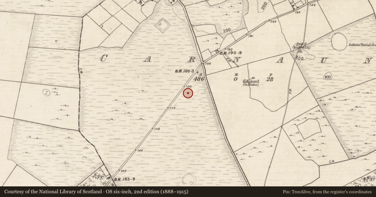 Ordnance Survey six-inch map, 2nd edition (1888–1915) covering the location of Field system, Carnaun, County Galway, with a pin at the register's coordinates
