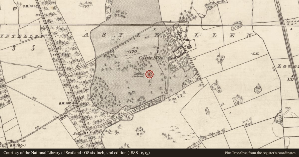 Ordnance Survey six-inch map, 2nd edition (1888–1915) covering the location of Castle - tower house, Castle Ellen, County Galway, with a pin at the register's coordinates