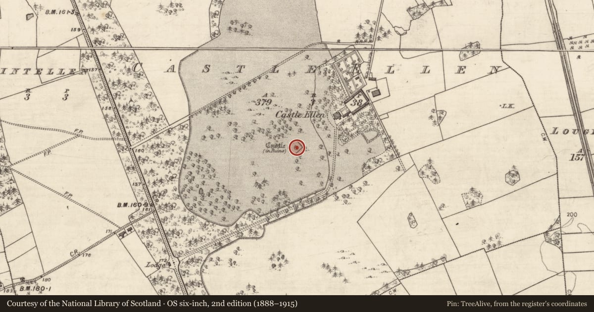 Ordnance Survey six-inch map, 2nd edition (1888–1915) covering the location of Designed landscape - folly, Castle Ellen, County Galway, with a pin at the register's coordinates