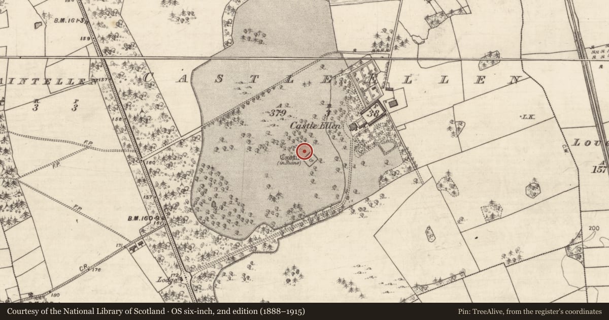 Ordnance Survey six-inch map, 2nd edition (1888–1915) covering the location of Bawn, Castle Ellen, County Galway, with a pin at the register's coordinates