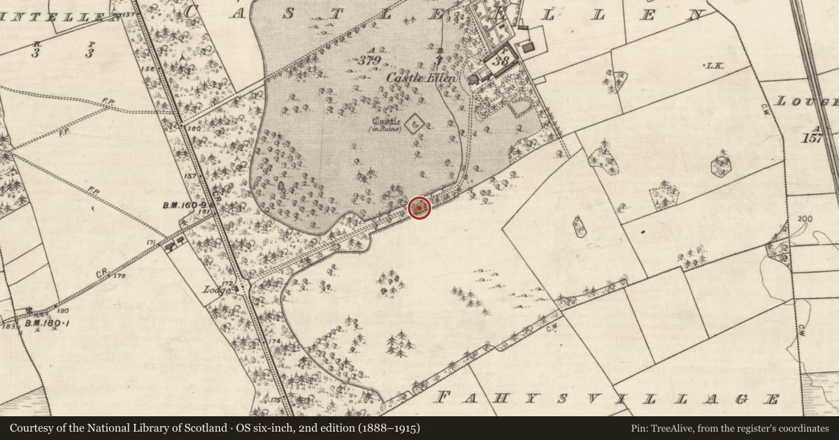 Ordnance Survey six-inch map, 2nd edition (1888–1915) covering the location of Tunnel, Castle Ellen, County Galway, with a pin at the register's coordinates