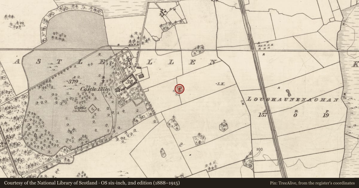 Ordnance Survey six-inch map, 2nd edition (1888–1915) covering the location of Designed landscape feature, Castle Ellen, County Galway, with a pin at the register's coordinates
