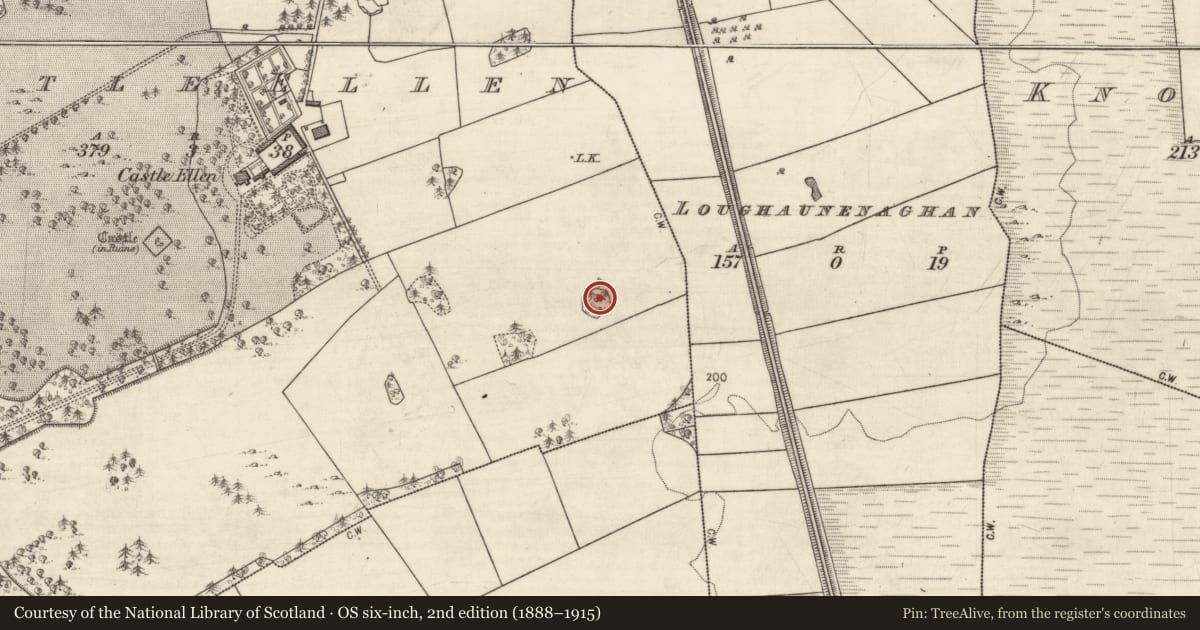 Ordnance Survey six-inch map, 2nd edition (1888–1915) covering the location of Designed landscape - tree-ring, Castle Ellen, County Galway, with a pin at the register's coordinates