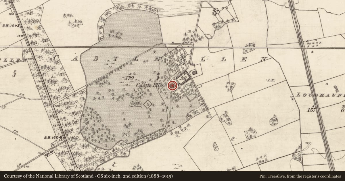 Ordnance Survey six-inch map, 2nd edition (1888–1915) covering the location of Country house, Castle Ellen, County Galway, with a pin at the register's coordinates