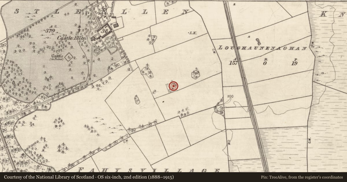 Ordnance Survey six-inch map, 2nd edition (1888–1915) covering the location of Designed landscape feature, Castle Ellen, County Galway, with a pin at the register's coordinates