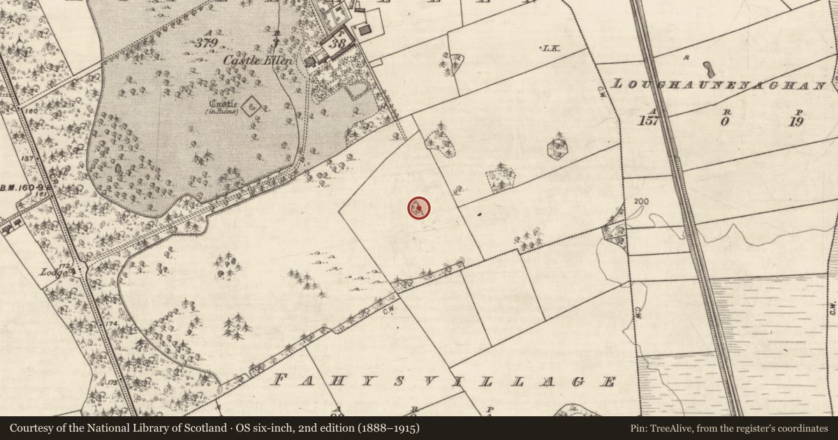 Ordnance Survey six-inch map, 2nd edition (1888–1915) covering the location of Designed landscape feature, Castle Ellen, County Galway, with a pin at the register's coordinates