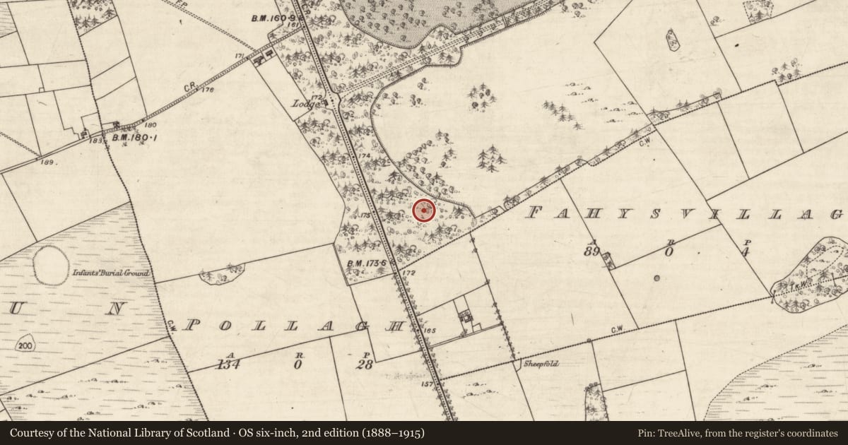 Ordnance Survey six-inch map, 2nd edition (1888–1915) covering the location of Designed landscape feature, Castle Ellen, County Galway, with a pin at the register's coordinates