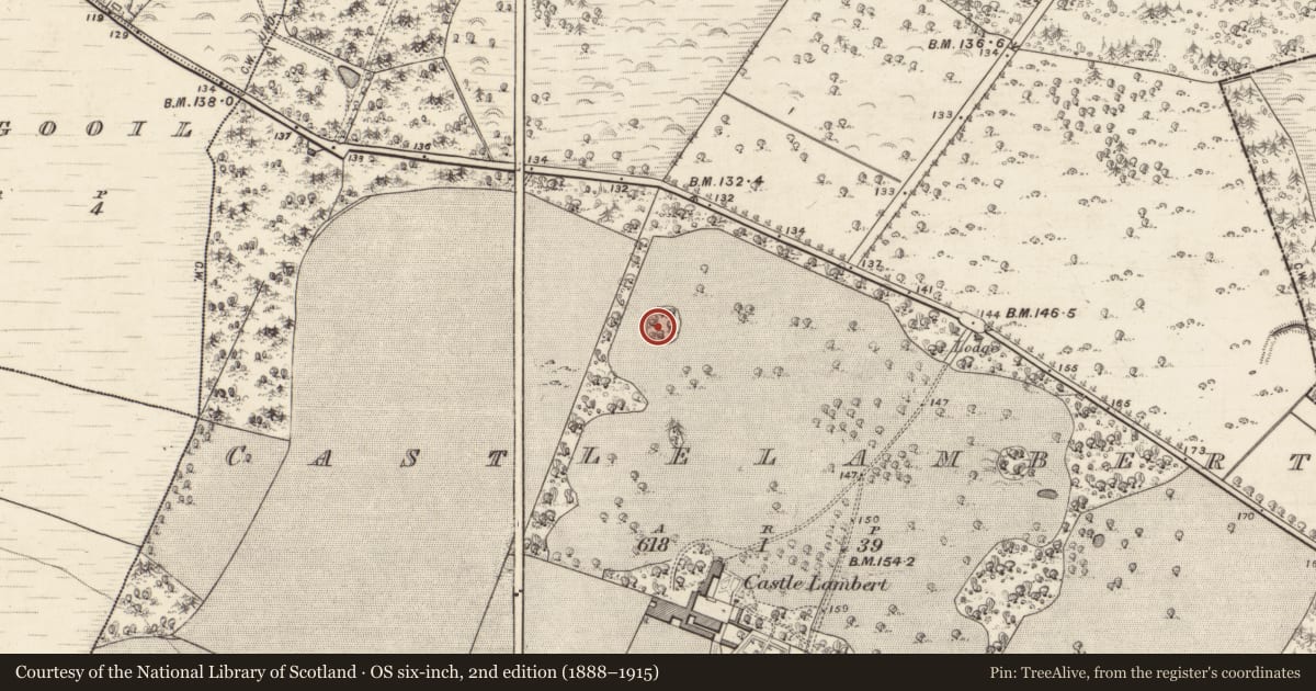 Ordnance Survey six-inch map, 2nd edition (1888–1915) covering the location of Enclosure, Castlelambert, County Galway, with a pin at the register's coordinates