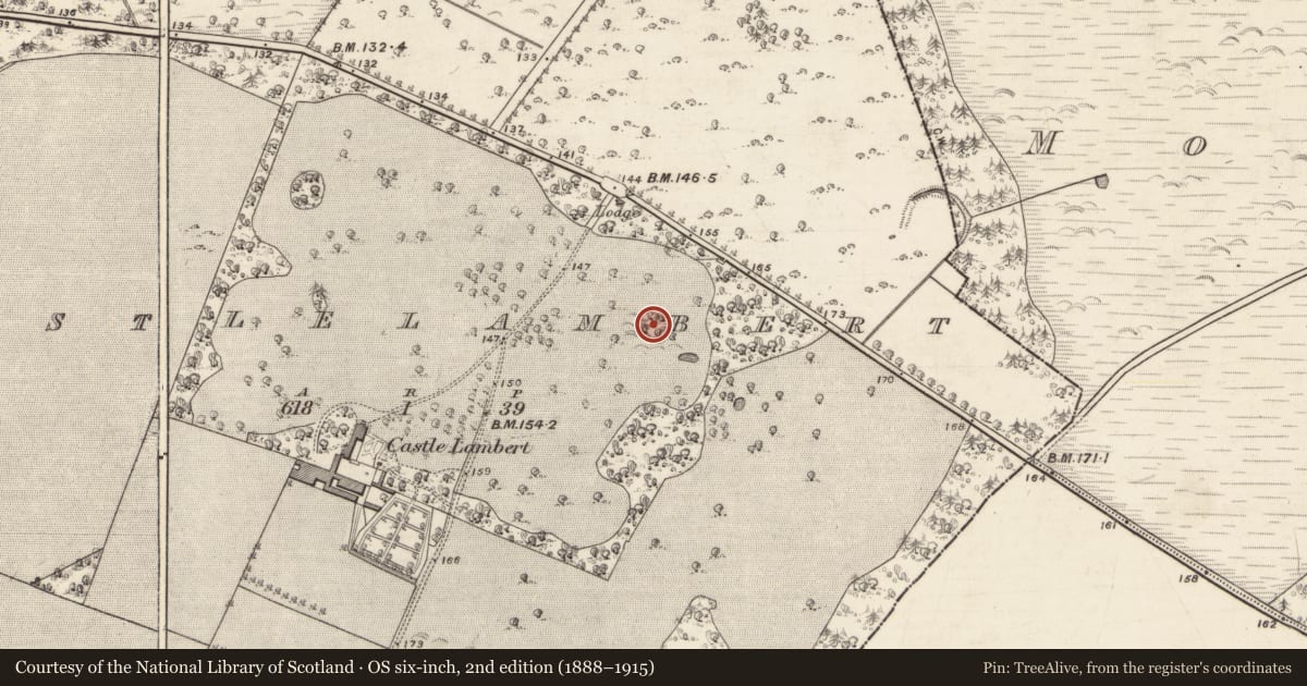 Ordnance Survey six-inch map, 2nd edition (1888–1915) covering the location of Enclosure, Castlelambert, County Galway, with a pin at the register's coordinates