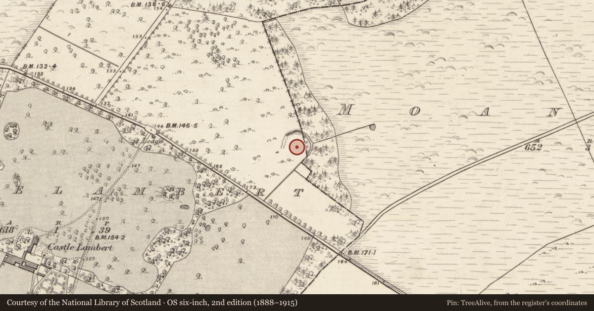 Ordnance Survey six-inch map, 2nd edition (1888–1915) covering the location of Hilltop enclosure, Castlelambert, Moanbaun, County Galway, with a pin at the register's coordinates