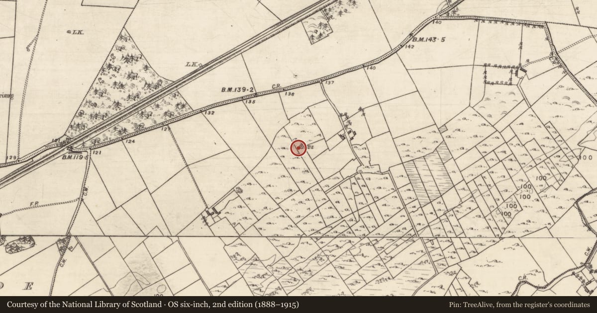 Ordnance Survey six-inch map, 2nd edition (1888–1915) covering the location of Ringfort - cashel, Cloran, County Galway, with a pin at the register's coordinates