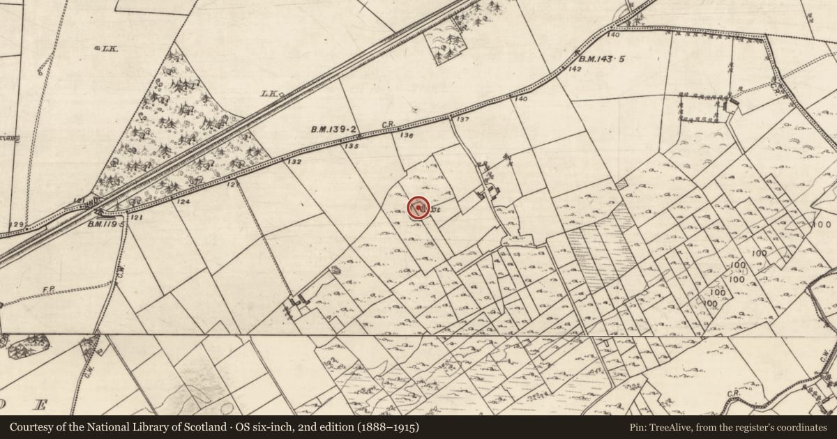 Ordnance Survey six-inch map, 2nd edition (1888–1915) covering the location of Souterrain, Cloran, County Galway, with a pin at the register's coordinates