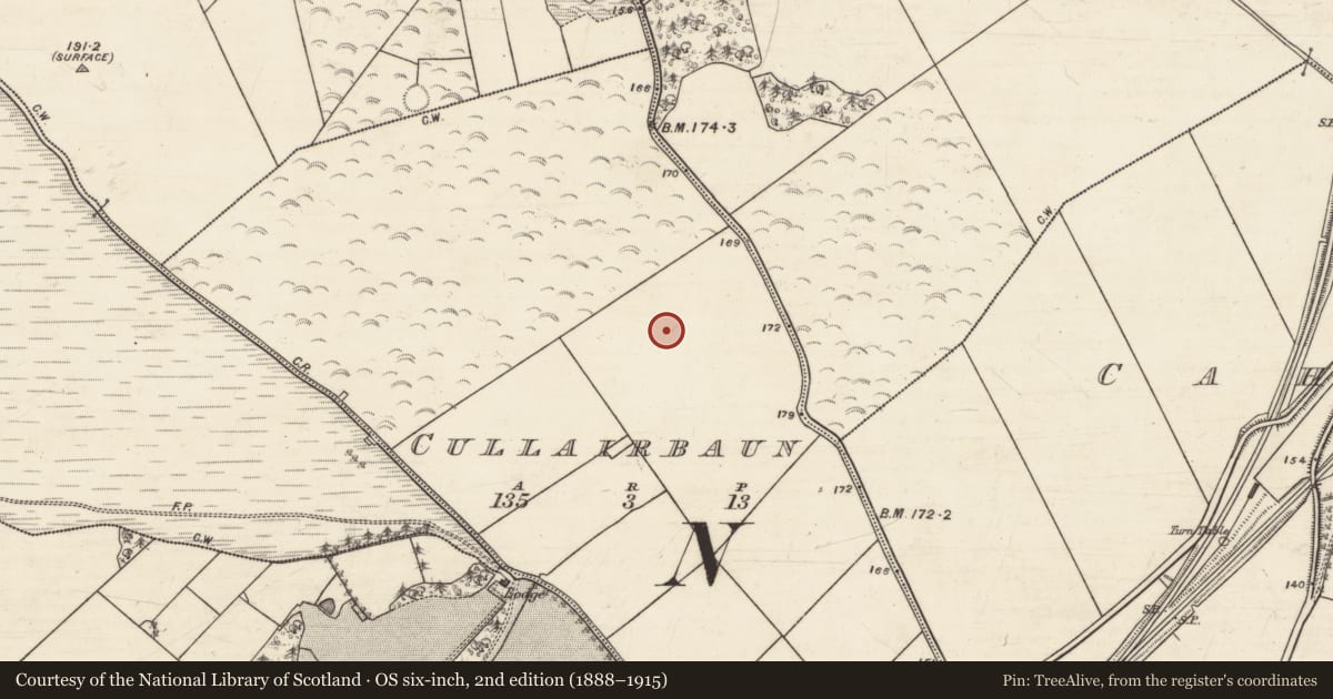 Ordnance Survey six-inch map, 2nd edition (1888–1915) covering the location of Quarry, Cullairbaun, County Galway, with a pin at the register's coordinates