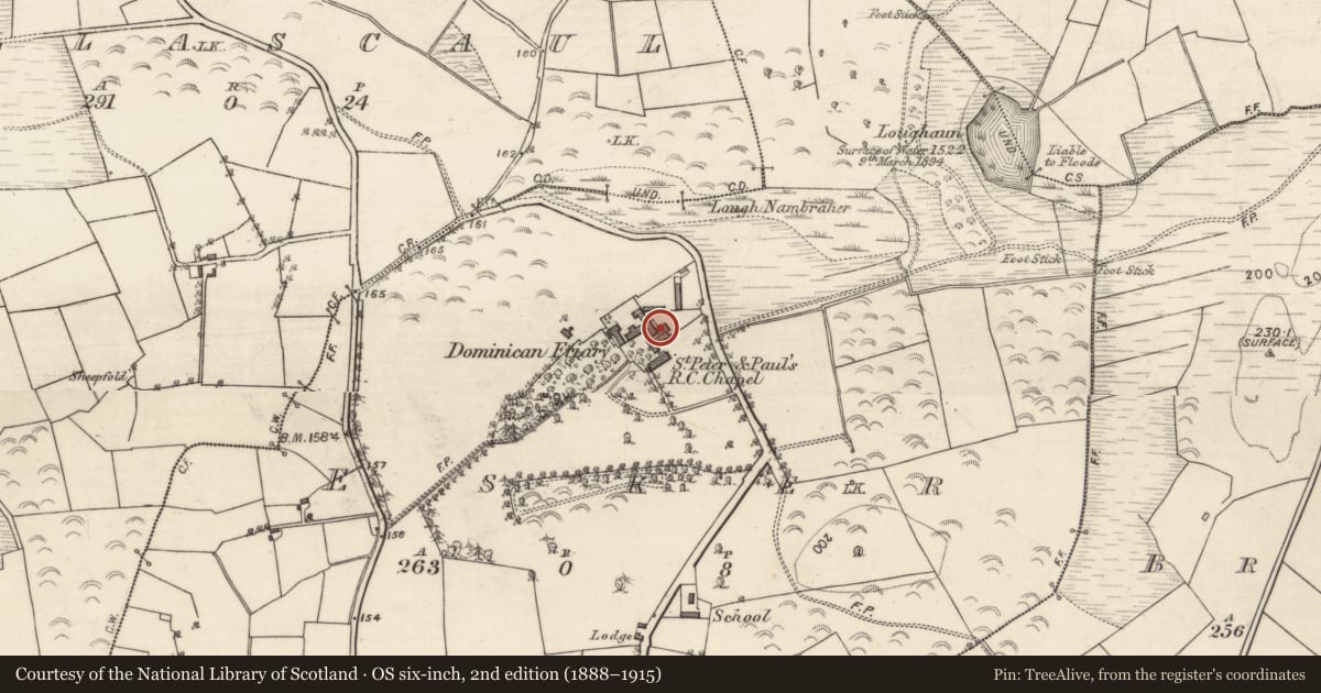 Ordnance Survey six-inch map, 2nd edition (1888–1915) covering the location of Religious house - unclassified, Esker, County Galway, with a pin at the register's coordinates