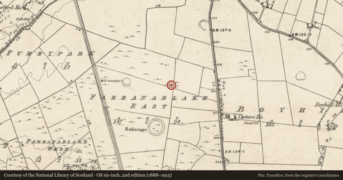 Ordnance Survey six-inch map, 2nd edition (1888–1915) covering the location of Ringfort - rath, Farranablake East, County Galway, with a pin at the register's coordinates