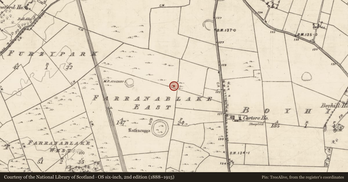 Ordnance Survey six-inch map, 2nd edition (1888–1915) covering the location of Souterrain, Farranablake East, County Galway, with a pin at the register's coordinates