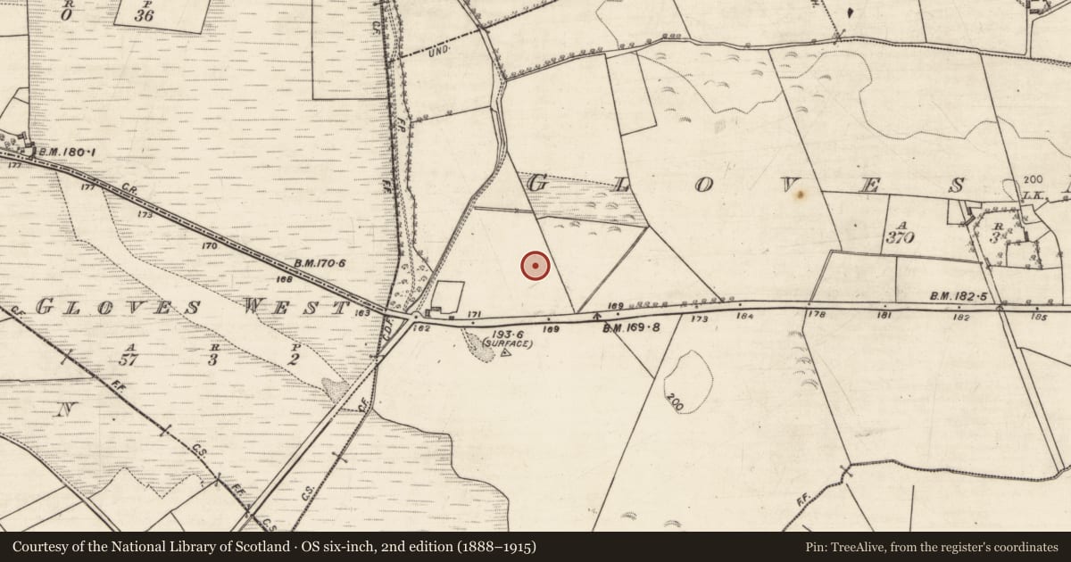 Ordnance Survey six-inch map, 2nd edition (1888–1915) covering the location of Cist, Gloves Middle, County Galway, with a pin at the register's coordinates