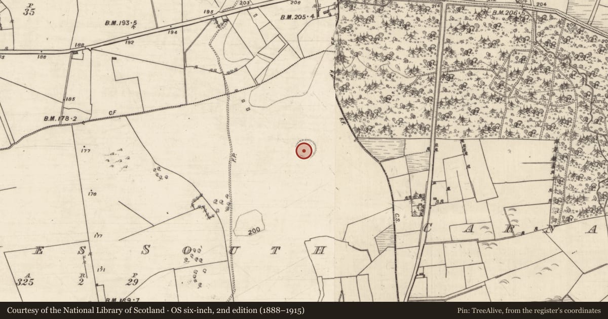 Ordnance Survey six-inch map, 2nd edition (1888–1915) covering the location of Ringfort - rath, Gloves South, County Galway, with a pin at the register's coordinates