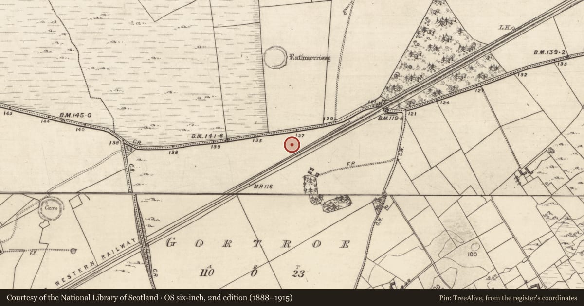 Ordnance Survey six-inch map, 2nd edition (1888–1915) covering the location of Ringfort - rath, Gortroe, County Galway, with a pin at the register's coordinates