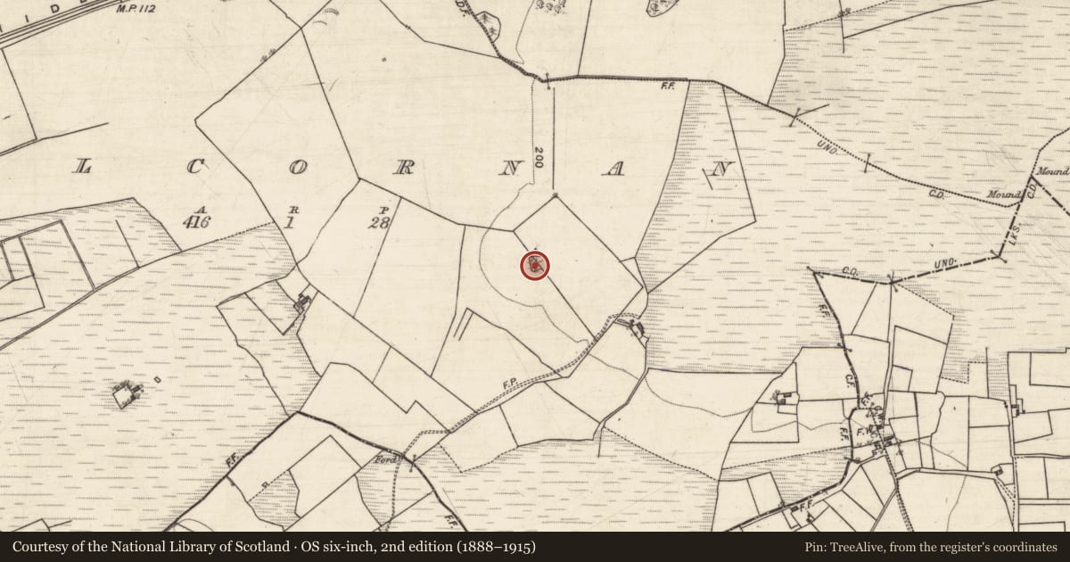 Ordnance Survey six-inch map, 2nd edition (1888–1915) covering the location of Children's burial ground, Kilcornan, County Galway, with a pin at the register's coordinates