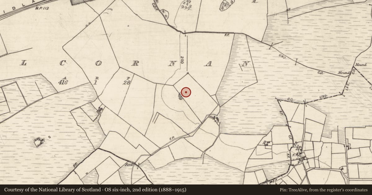Ordnance Survey six-inch map, 2nd edition (1888–1915) covering the location of Ecclesiastical enclosure, Kilcornan, County Galway, with a pin at the register's coordinates