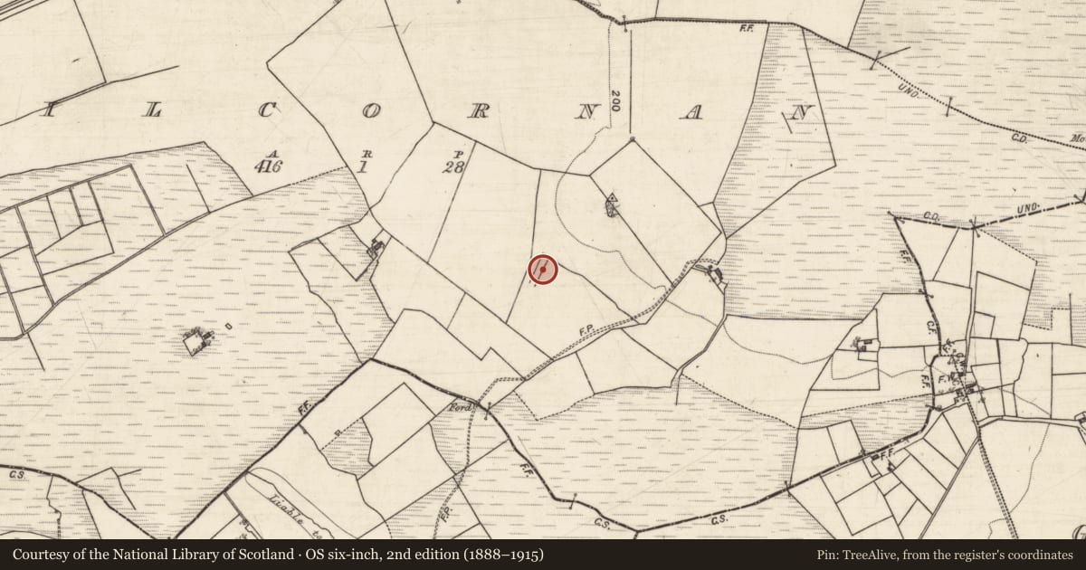 Ordnance Survey six-inch map, 2nd edition (1888–1915) covering the location of Water mill - horizontal-wheeled, Kilcornan, County Galway, with a pin at the register's coordinates