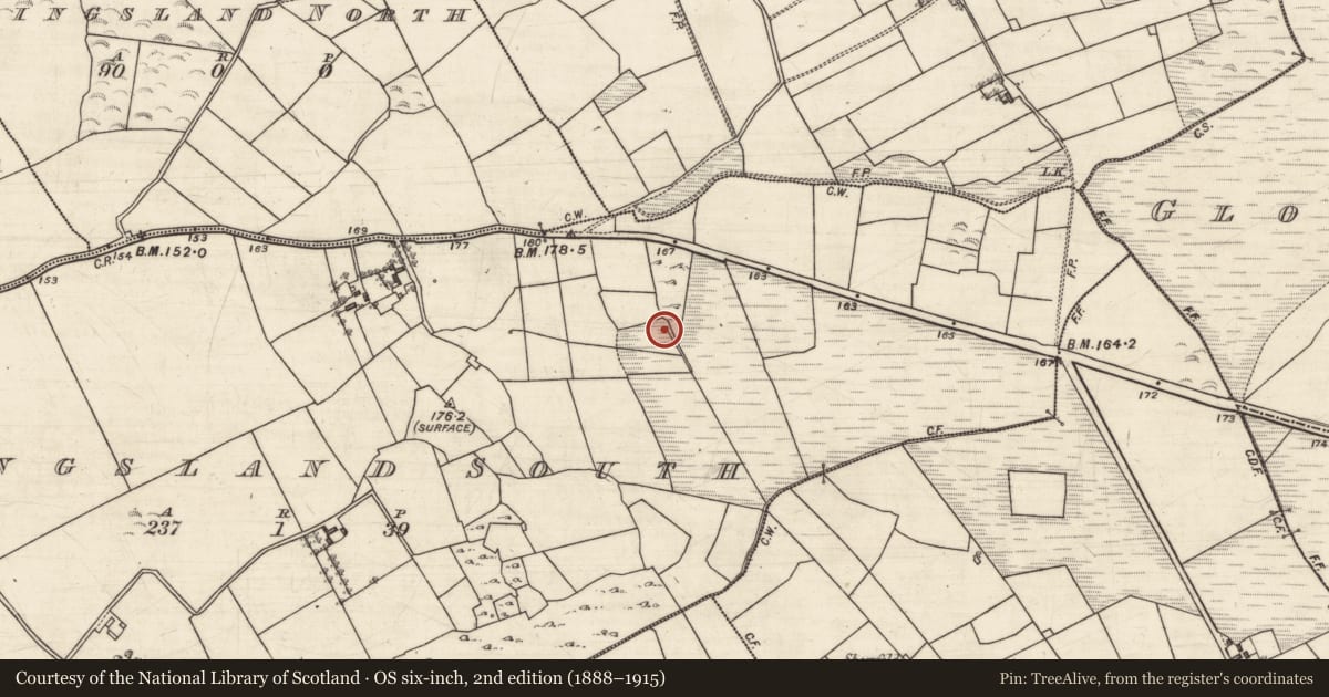 Ordnance Survey six-inch map, 2nd edition (1888–1915) covering the location of Ritual site - holy well, Kingsland South, County Galway, with a pin at the register's coordinates