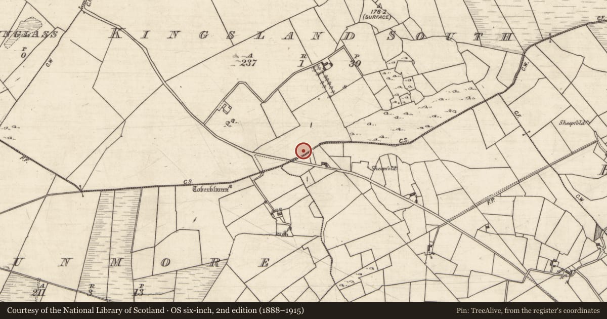 Ordnance Survey six-inch map, 2nd edition (1888–1915) covering the location of Fulacht fia, Kingsland South, County Galway, with a pin at the register's coordinates