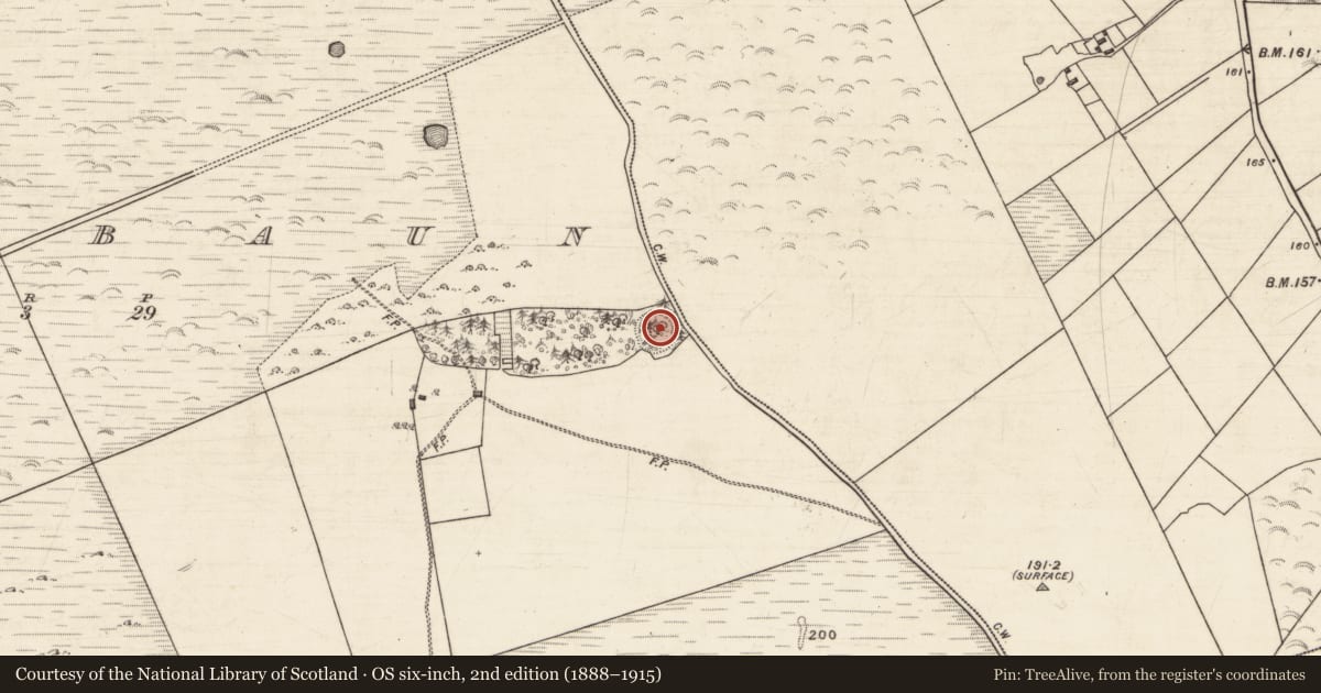 Ordnance Survey six-inch map, 2nd edition (1888–1915) covering the location of Ringfort - rath, Moanbaun, County Galway, with a pin at the register's coordinates