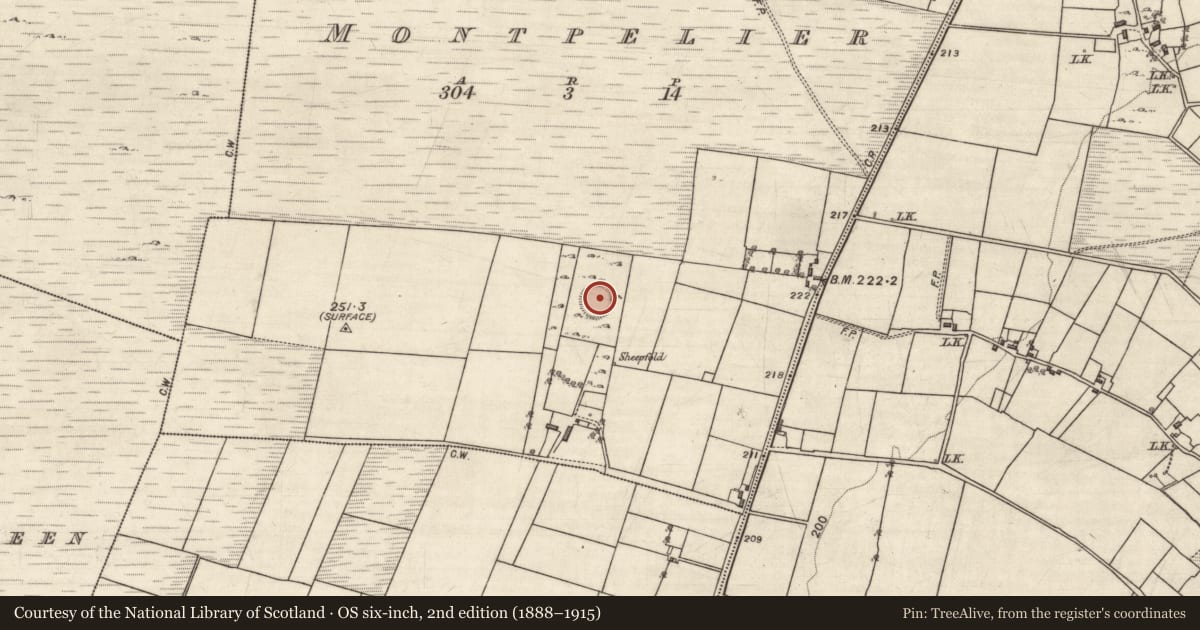 Ordnance Survey six-inch map, 2nd edition (1888–1915) covering the location of Ringfort - cashel, Montpelier, County Galway, with a pin at the register's coordinates