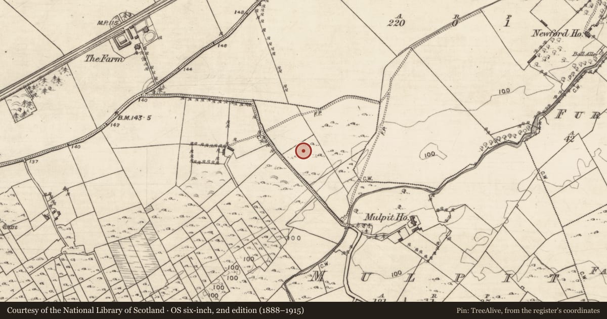 Ordnance Survey six-inch map, 2nd edition (1888–1915) covering the location of Enclosure, Mulpit, County Galway, with a pin at the register's coordinates