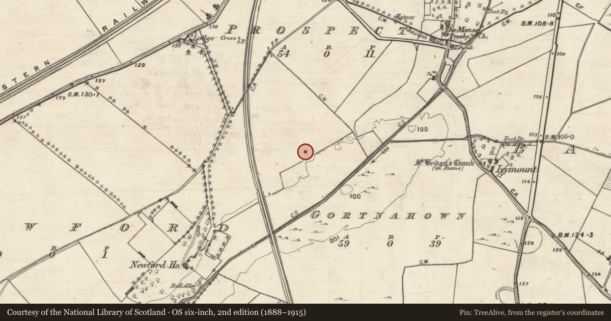 Ordnance Survey six-inch map, 2nd edition (1888–1915) covering the location of Cist, Newford, County Galway, with a pin at the register's coordinates