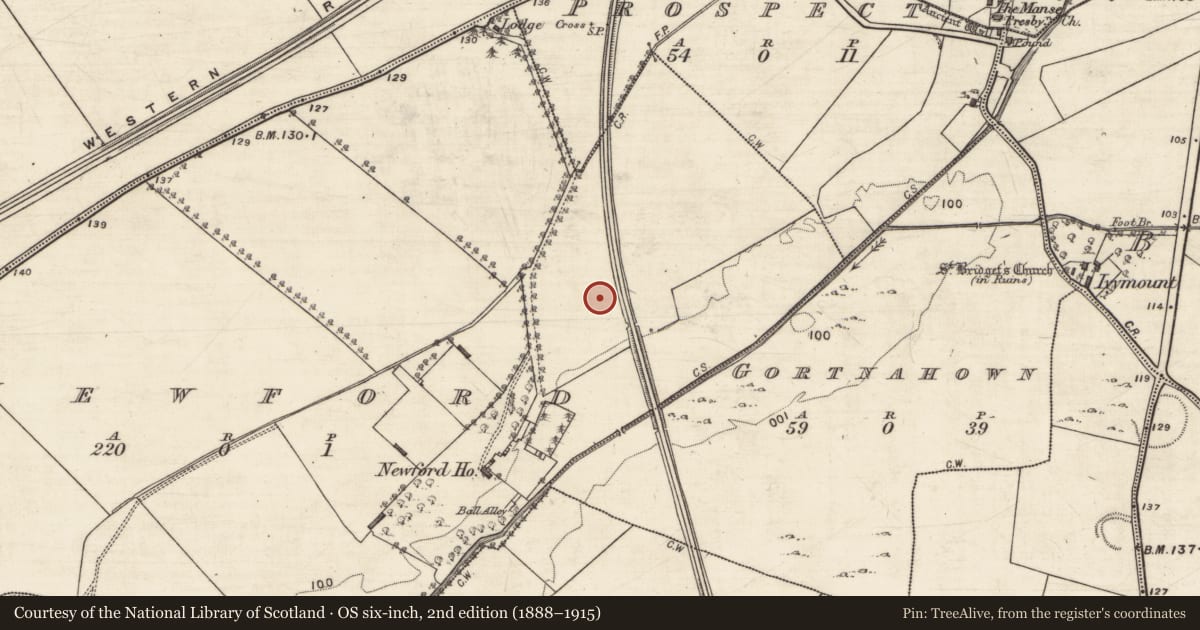 Ordnance Survey six-inch map, 2nd edition (1888–1915) covering the location of Quarry, Newford, County Galway, with a pin at the register's coordinates