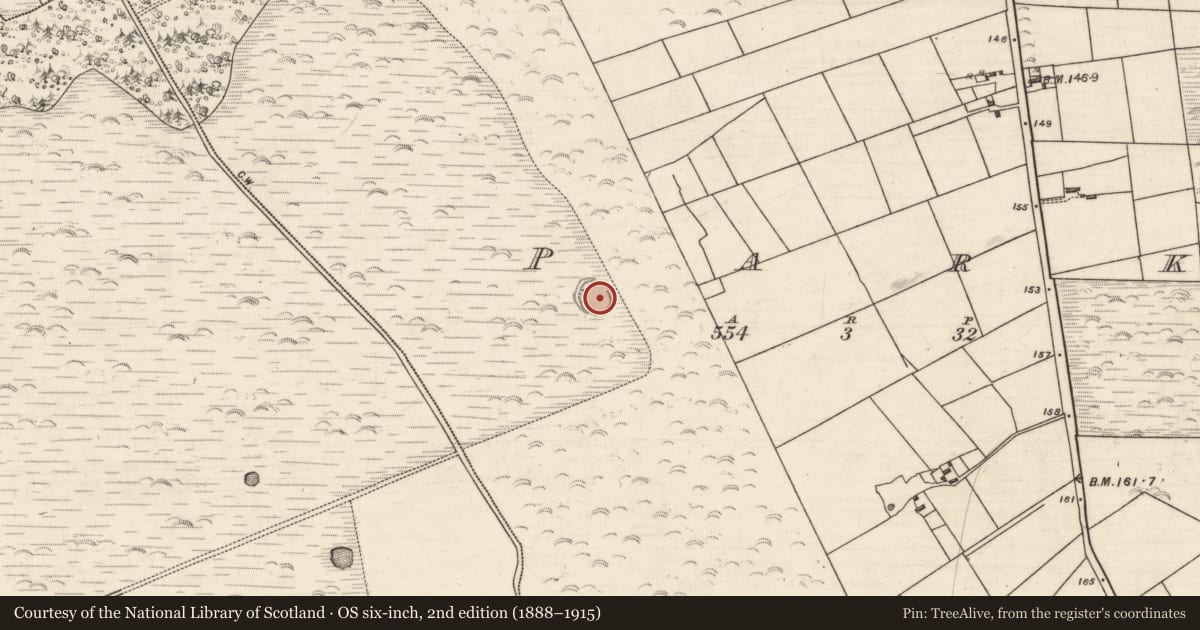 Ordnance Survey six-inch map, 2nd edition (1888–1915) covering the location of Ringfort - rath, Park, County Galway, with a pin at the register's coordinates
