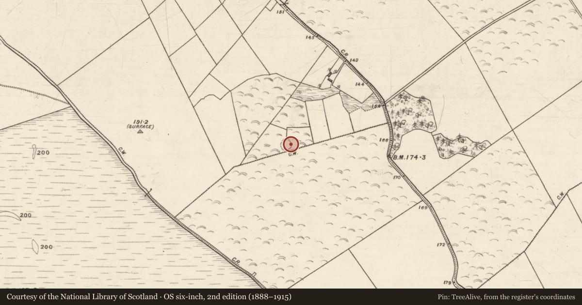 Ordnance Survey six-inch map, 2nd edition (1888–1915) covering the location of Quarry, Park, County Galway, with a pin at the register's coordinates
