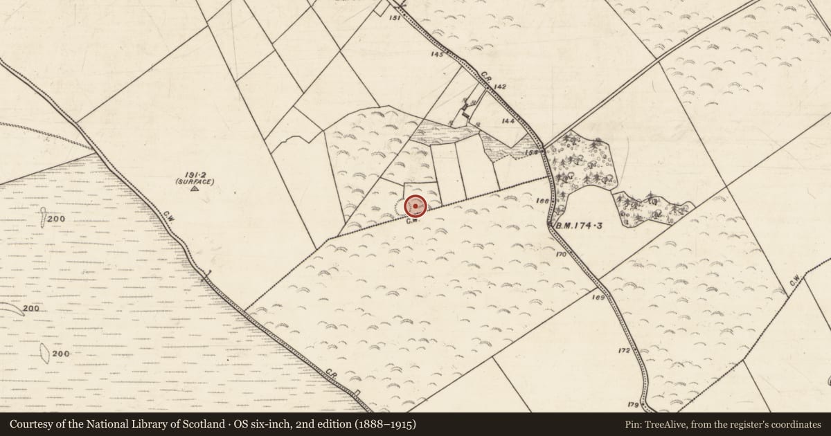 Ordnance Survey six-inch map, 2nd edition (1888–1915) covering the location of Well, Park, County Galway, with a pin at the register's coordinates