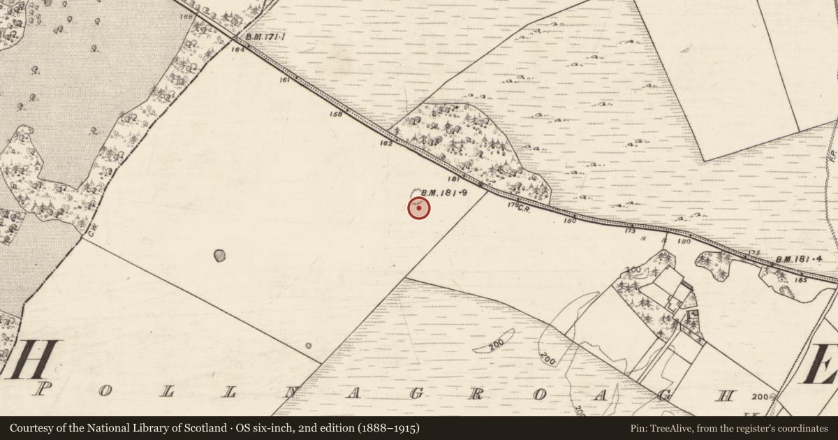 Ordnance Survey six-inch map, 2nd edition (1888–1915) covering the location of Ringfort - cashel, Pollnagroagh, County Galway, with a pin at the register's coordinates