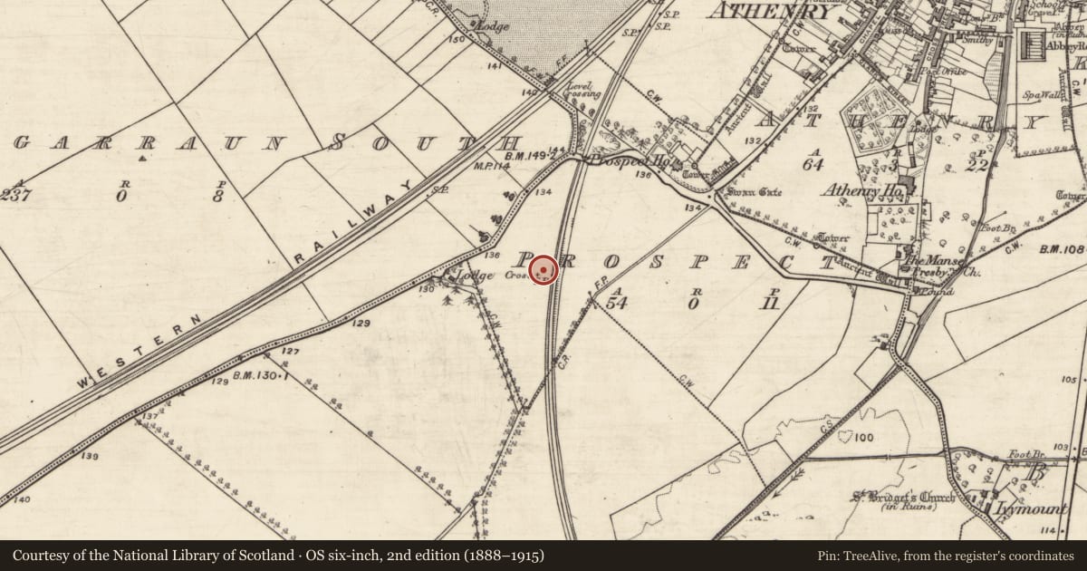 Ordnance Survey six-inch map, 2nd edition (1888–1915) covering the location of Cross, Prospect, County Galway, with a pin at the register's coordinates