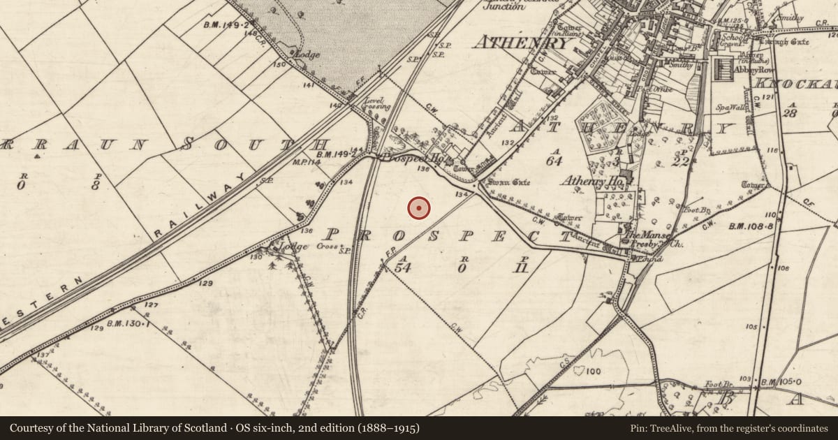 Ordnance Survey six-inch map, 2nd edition (1888–1915) covering the location of Road - road/trackway, Prospect, County Galway, with a pin at the register's coordinates