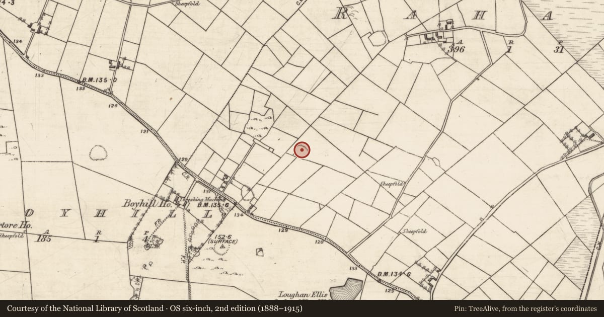 Ordnance Survey six-inch map, 2nd edition (1888–1915) covering the location of Ringfort - cashel, Rahard, County Galway, with a pin at the register's coordinates