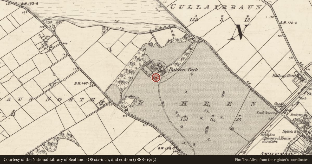 Ordnance Survey six-inch map, 2nd edition (1888–1915) covering the location of Designed landscape feature, Raheen, County Galway, with a pin at the register's coordinates